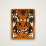 BlackBird Deluxe – Vs Audio